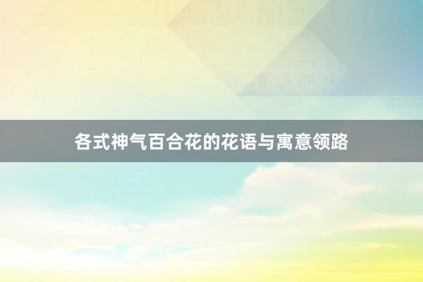 各式神气百合花的花语与寓意领路