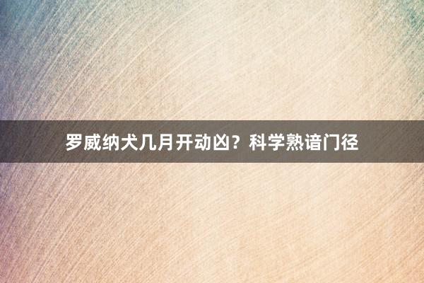 罗威纳犬几月开动凶？科学熟谙门径