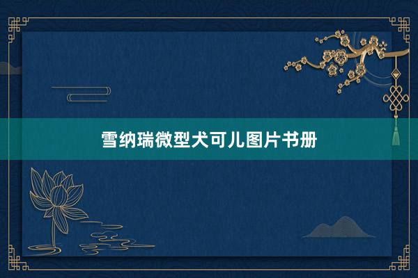 雪纳瑞微型犬可儿图片书册
