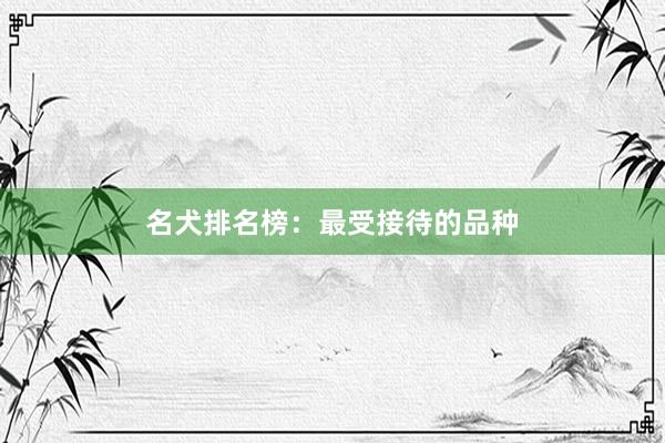 名犬排名榜：最受接待的品种