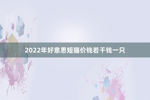 2022年好意思短猫价钱若干钱一只