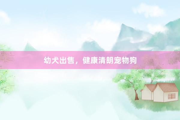 幼犬出售，健康清朗宠物狗