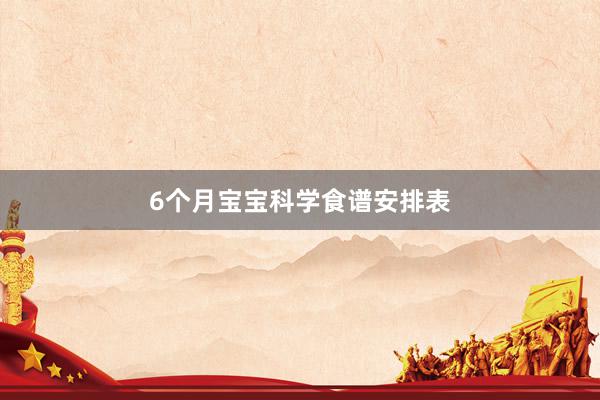 6个月宝宝科学食谱安排表