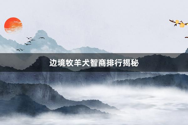 边境牧羊犬智商排行揭秘